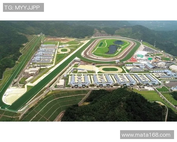 改造晋级17个体育场馆，广州国企交出全运保证成绩单